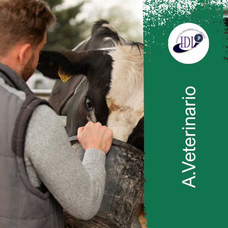 veterinario